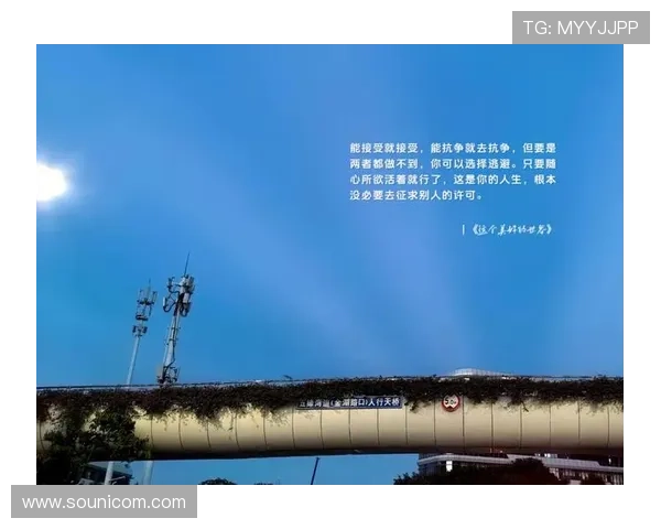 且听风吟，不问归期：人生这场牌，我选择“拒绝再战”