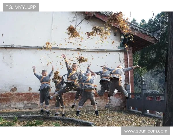 少林俗家弟子：武侠世界里的侠骨柔情与凡尘俗事