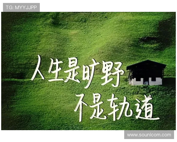 懂得，又如何？—在人生的旷野里，寻一片属于自己的光