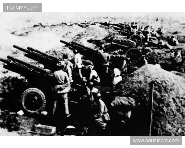 烽火燃尽黑土地：东北解放战争全记录