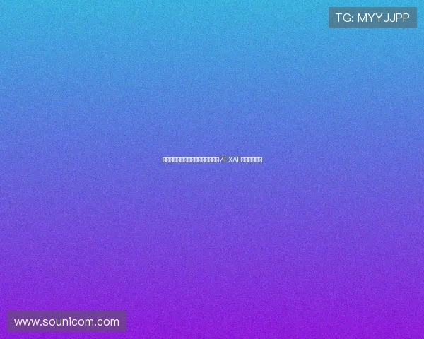 决斗的传承与星辰的羁绊：《游戏王ZEXAL》的永恒魅力