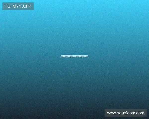 原田亚希：镜头下的光影诗篇，生活中的治愈之光